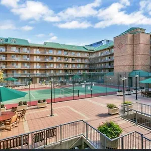 City - Free Parking, 3 Bedrooms And 2 Bathrooms Adelaide